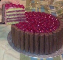 Raspberry Twirl Cake